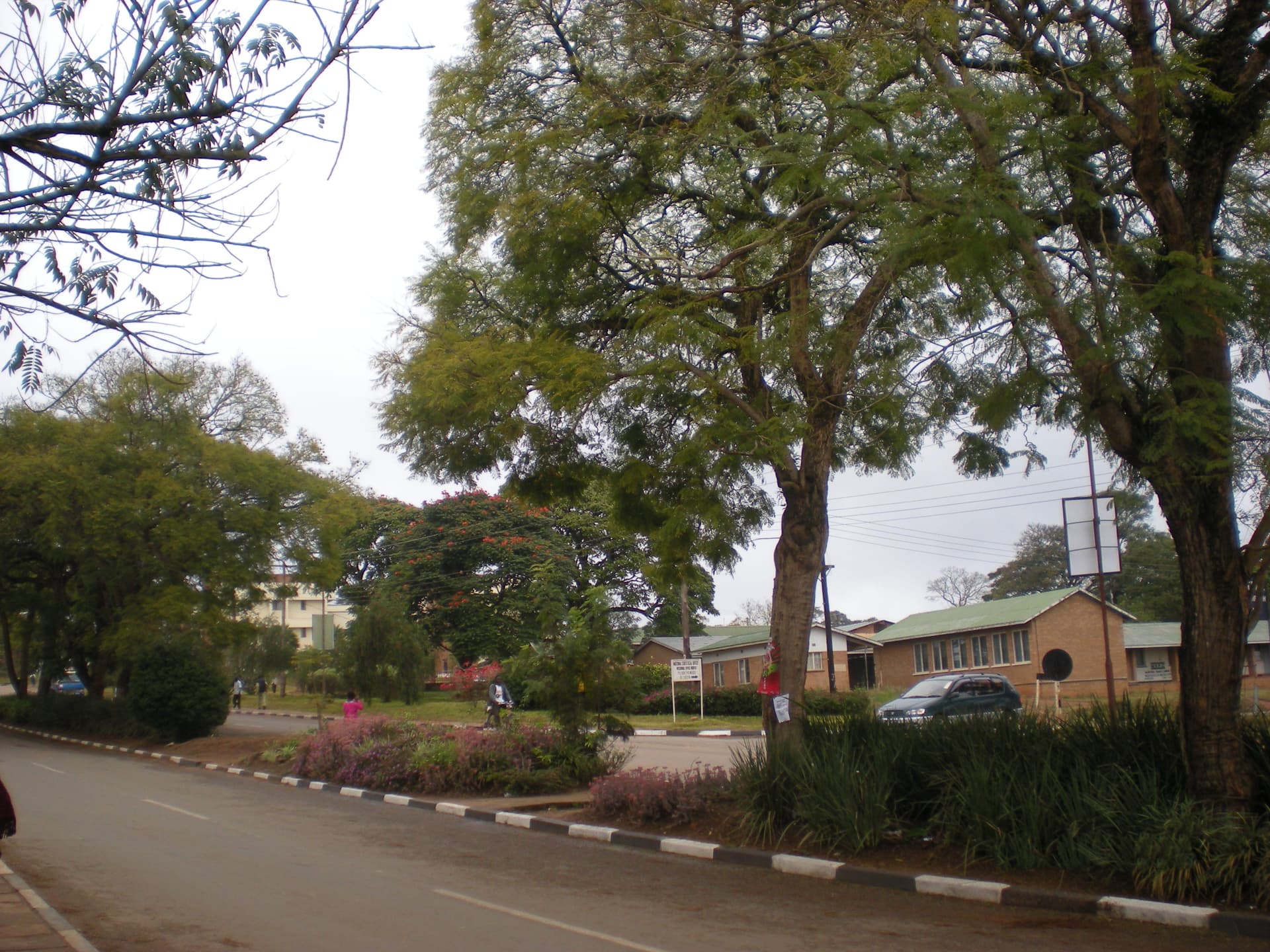 Straatbeeld Mzuzu centrum